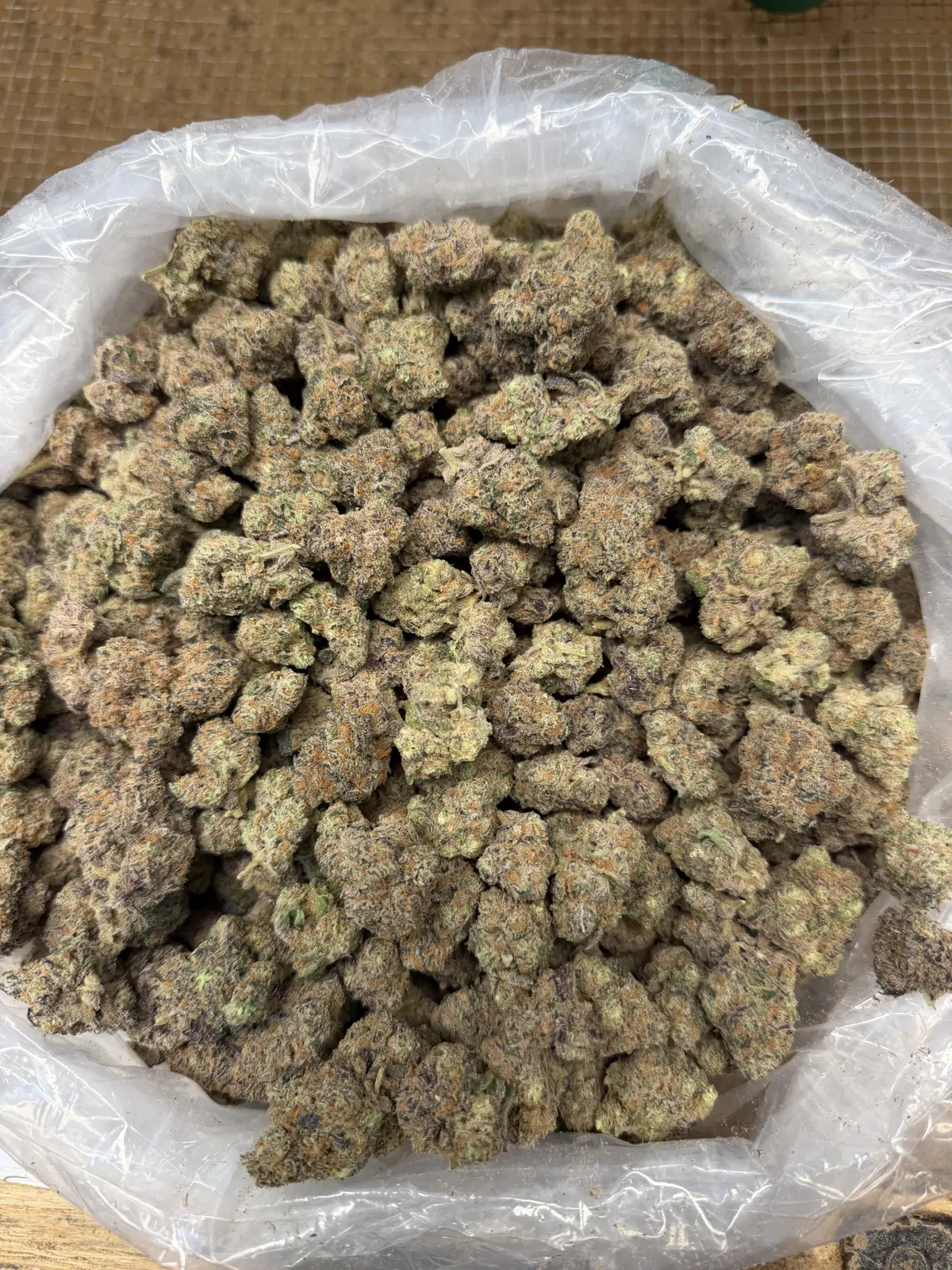 Lizard Bones Flower